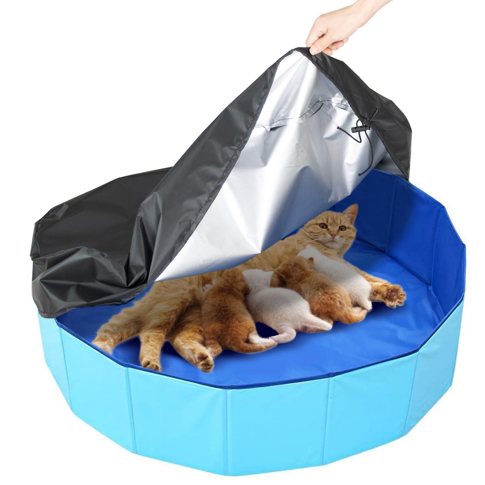 Cat Birthing Box with Cover, Whelping Box for Cats - 32inch Dia.x8inch H, Whelping Pool, Pet Birth Supplies, Foldable Cates Bath Pool, Convenient Storage(Blue with Cover)