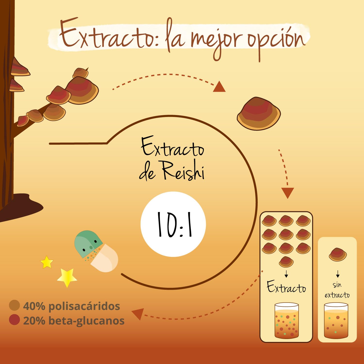 Reishi Puro Vegavero | Dosis Más Alta: 13000 mg (10:1) | Con 40% Polisacáridos & 20% Betaglucanos | Ganoderma Lucidum | Sin Aditivos & Vegano | 120 Cápsulas