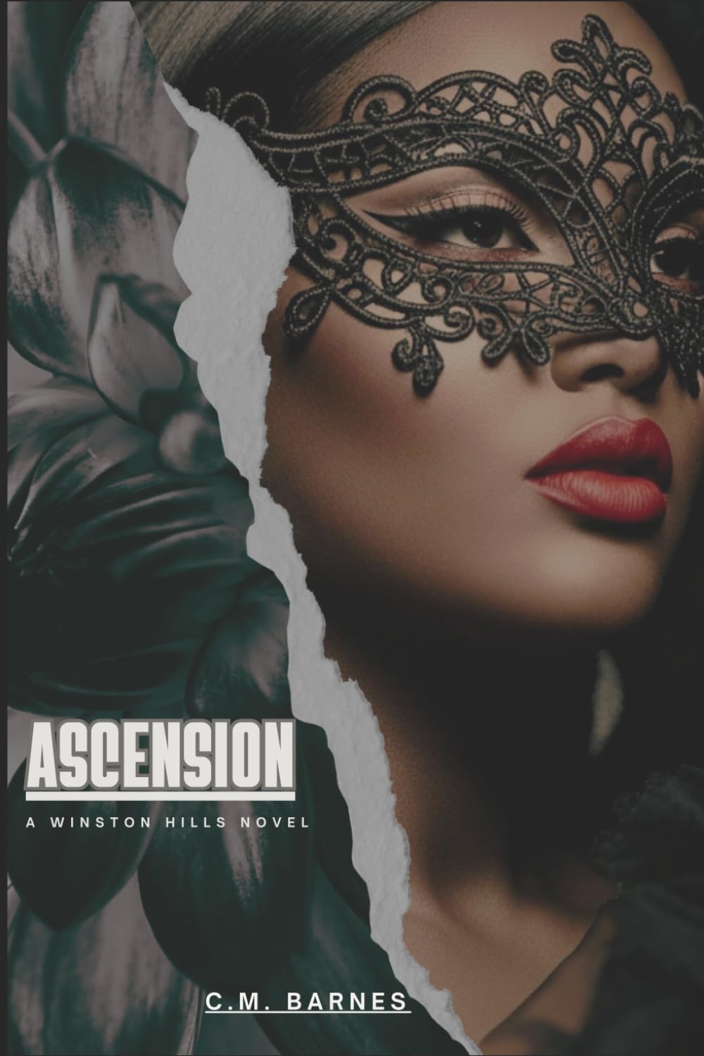 ASCENSION: A Winston Hills Novel: 3