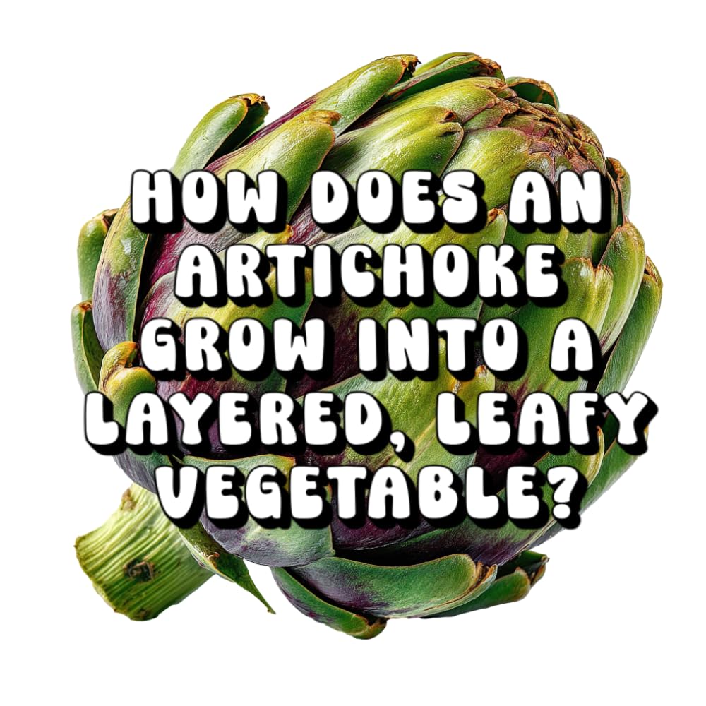 How Does an Artichoke Grow Into a Layered, Leafy Vegetable?