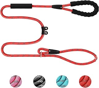 Amazon.es: correas para perros