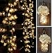 Christmas Flower Curtain String Lights, 100 LED with 8 Lighting Modes-UL Listed Power Supply, Perfect for Wedding/Xmas/Bedroom/Party Decorations [Energy Class A]