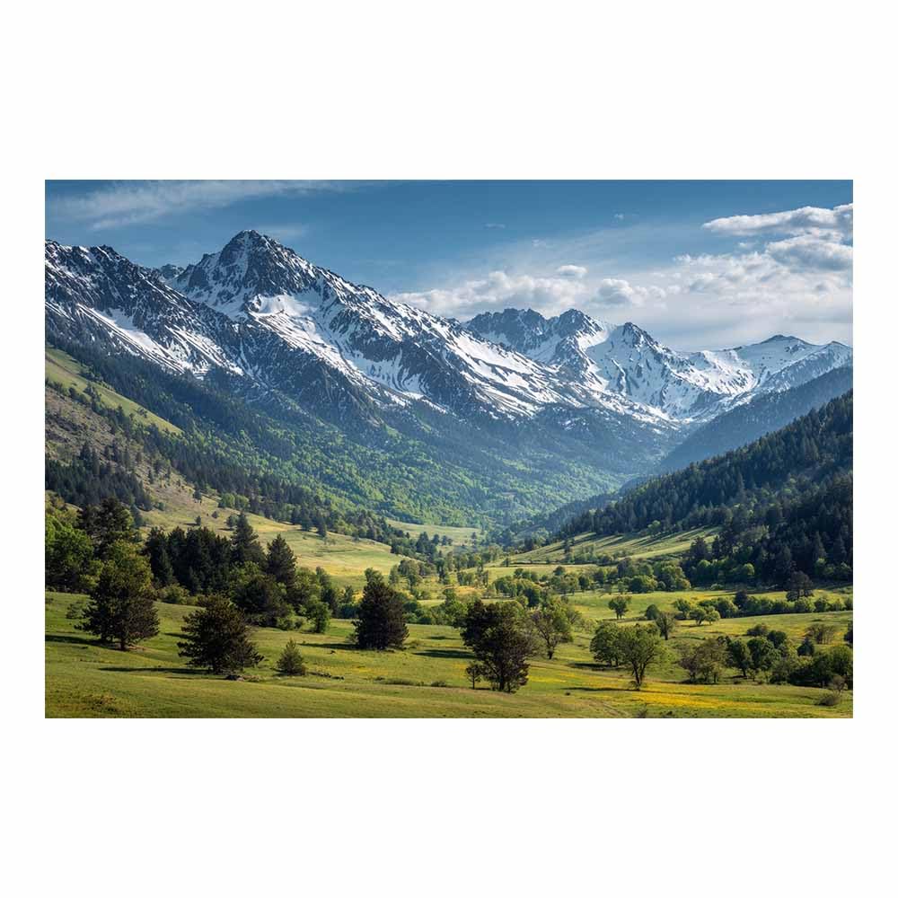 HUYEEI Canvas Print Wall Art Snows Valley Modern Nature Landscape Poster, for living room, bedroom,Corridor Office Room Decoretc.(green)-60x80cm Unframed