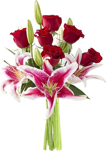 Miniatura 3 de KaBloom Entrega al día siguiente colección para el día de la madre, ramo de lirio rosa de Barbie de 10 lirios de estrellas rosas frescas. Regalo