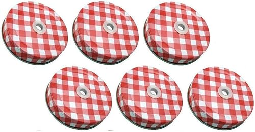 Sunshine Mason Co. Tapas con agujero para pajilla, 6 piezas, color rojo a cuadros