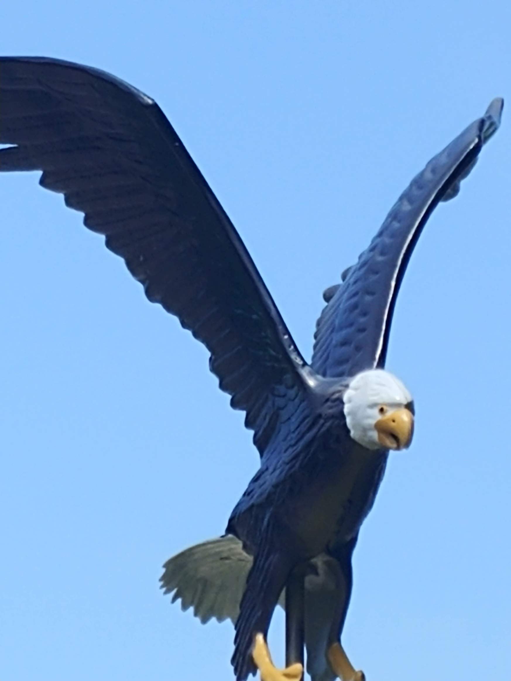 Amazon.com : PolePalUSA XXL 32in Eagle for Flagpole : Patio, Lawn