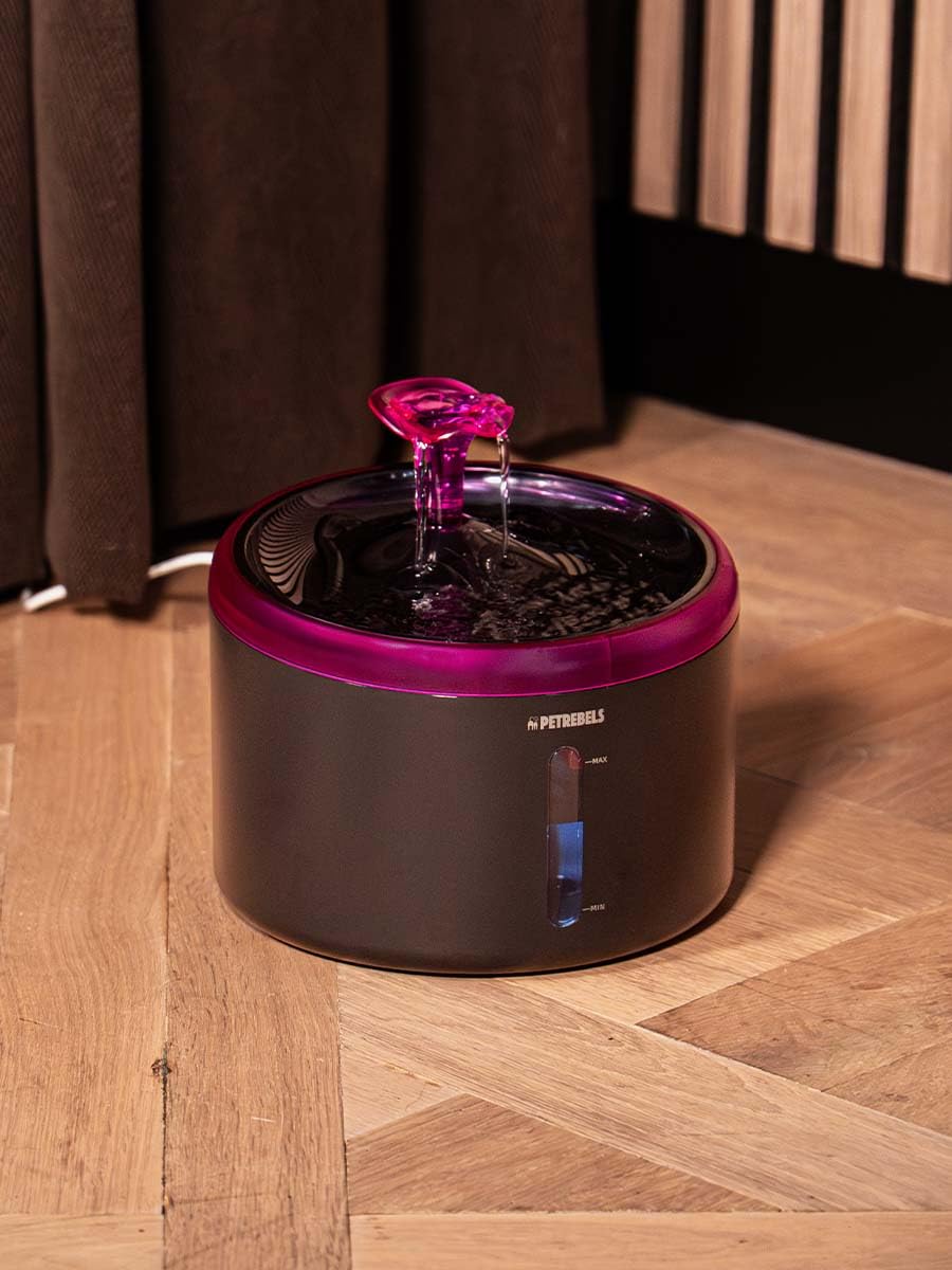 Petrebels Spring 20 Kattenfontein – 2,4 Liter – Ultra Stil (35 DB) – Met LED – Actief Koolfilter – Vaatwasbestendig – Zwart