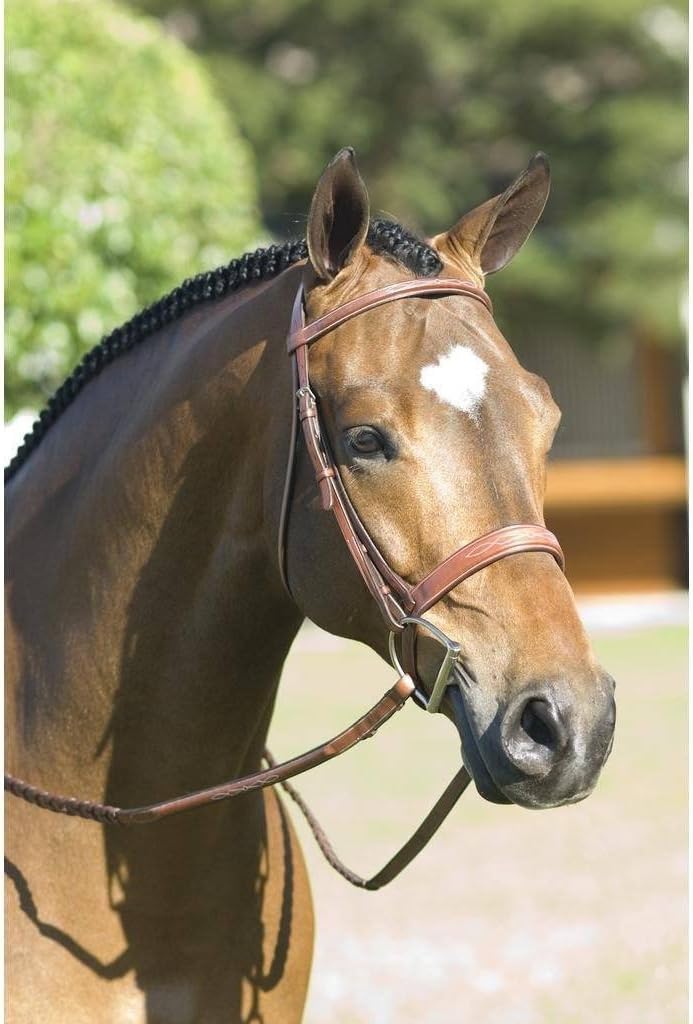 Pessoa Rodrigo Fancy Stitched Wide Noseband Bridle