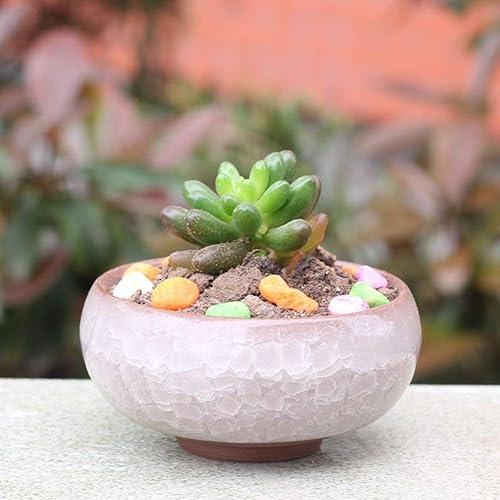 Miniatura 4 de My Decor - Maceta para suculentas, 12 piezas de cerámica de 2.5 pulgadas, maceta de cactus con grietas de hielo, maceta, contenedor, maceta