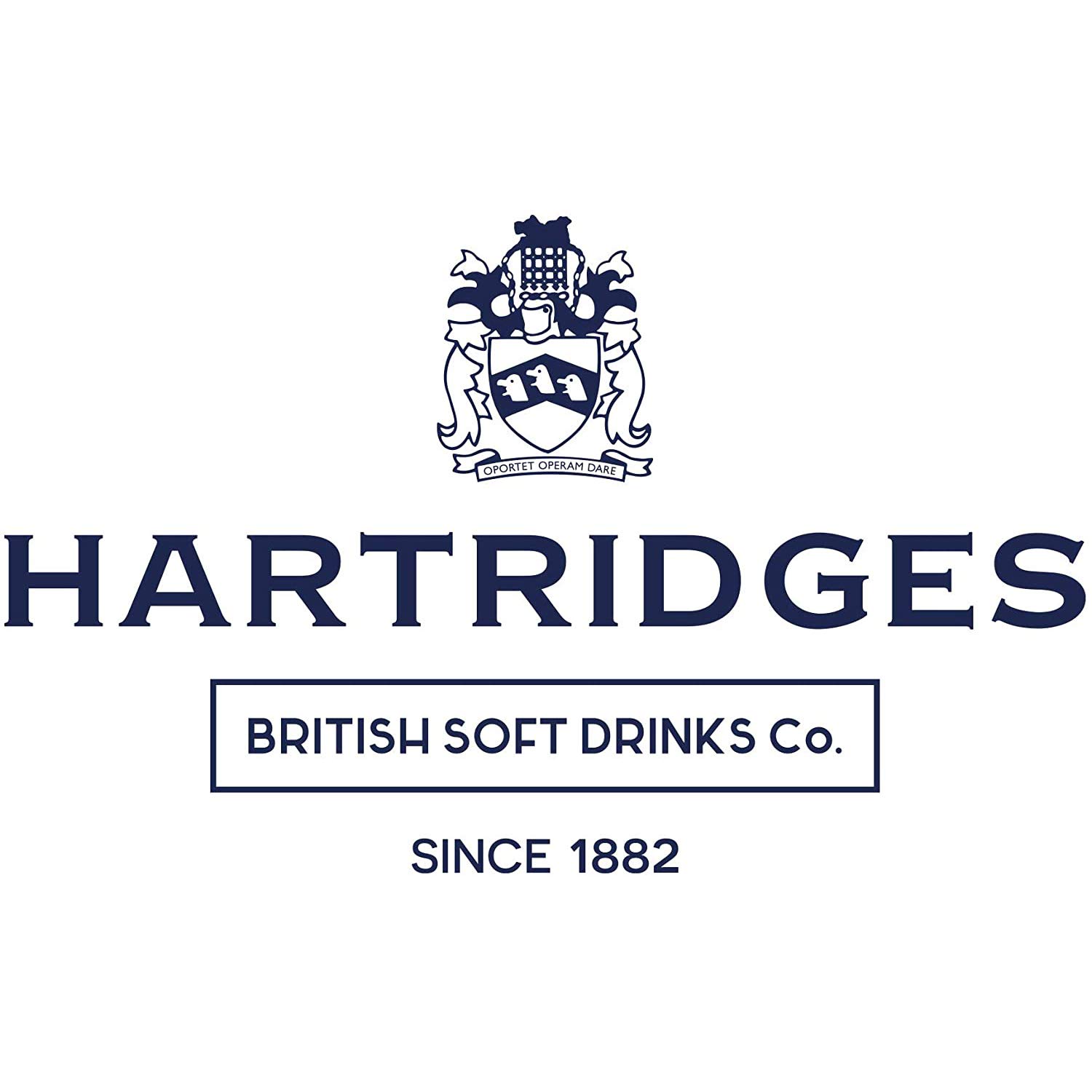 Buy Hartridges Traditional Rose Lemonade Soft Drink Pack of 12x 330ml