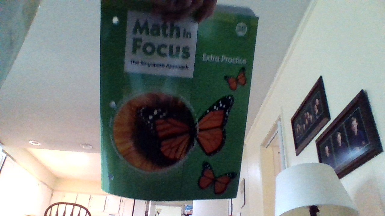Math in Focus: Singapore Math Extra Practice, Book B Grade 3