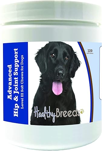 Healthy Breeds Recubrimiento plano Retriever Advanced Hip & Joint Support Level III Masticables suaves para perros, promueve una vida activa y