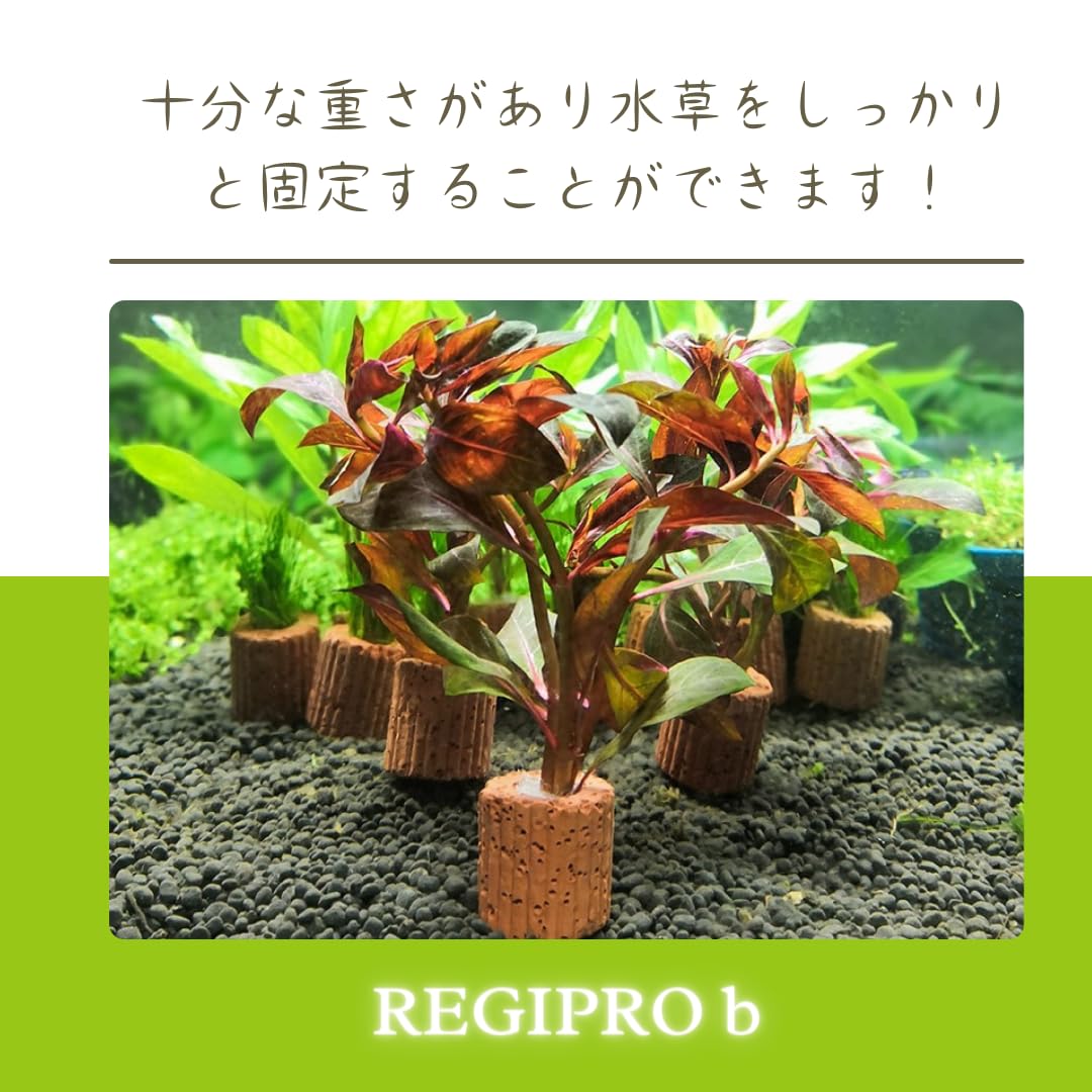 Amazon.co.jp: レジプロb 水草固定リング セラミック製 2.5cm