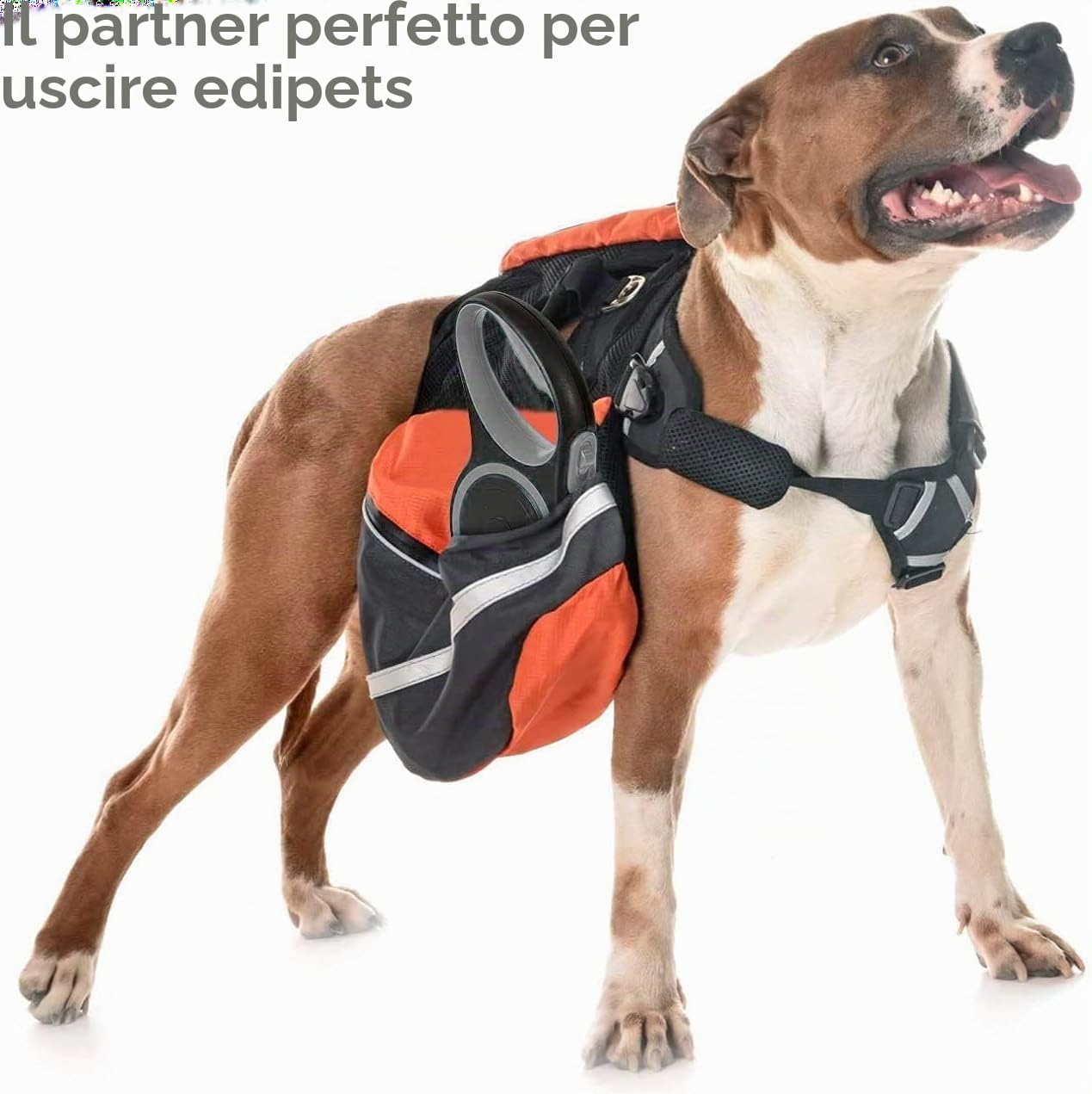 Edipets, Guinzaglio per Cani Allungabile, Retrattile, 5 e 8 Metri, Guinzaglio Flessibile per Addestramento e Passeggiate (Grigio, 8 metri)