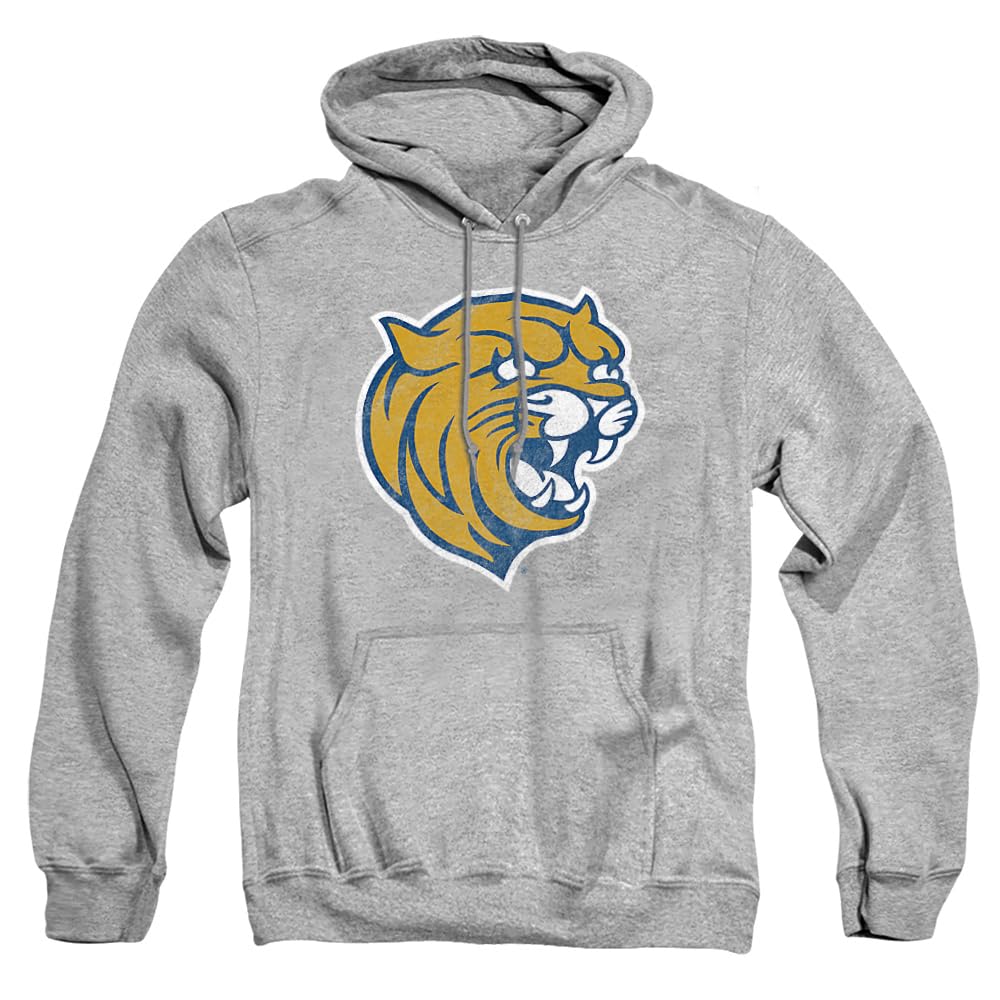 LOGOVISION Official Collegiate Distressed Primary Logo Adult Pullover Hoodie Collection — view 223
