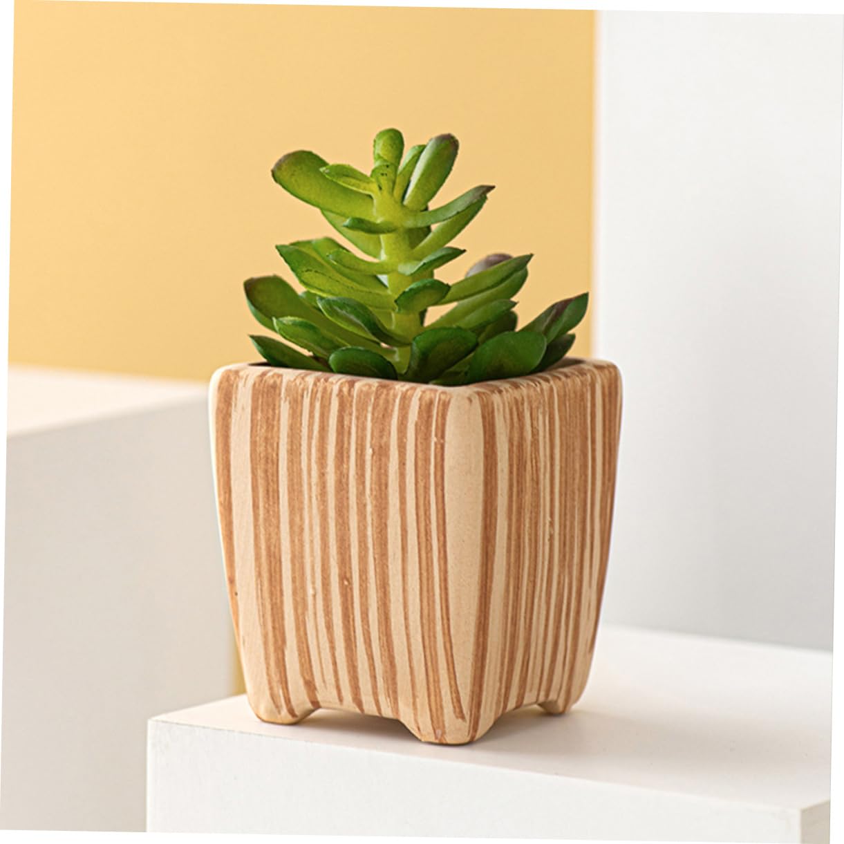 Amazon.co.jp: Yardenfun 2個製 多肉植物用鉢 小型 フラワー