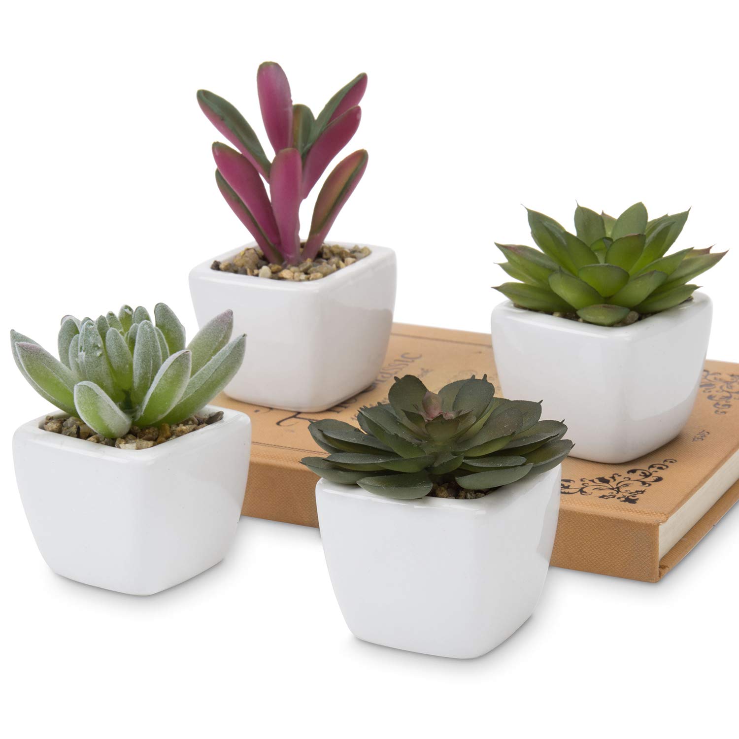 Set of 4 Mini Assorted Green Artificial Succulent Plants in Square White Ceramic Planters