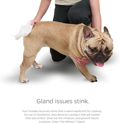 Miniatura 33 de Pet Parents® Pet WiPees™ - Toallitas multiusos para perros + piel y pelaje para mascotas, toallitas para perros, toallitas para perros y cachorros