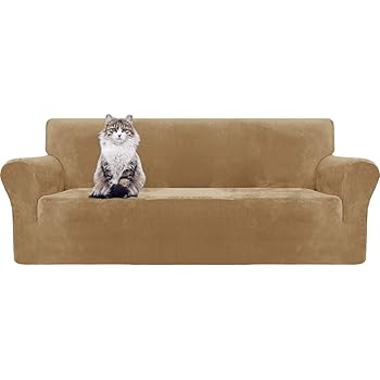 velvet sofa with dogs