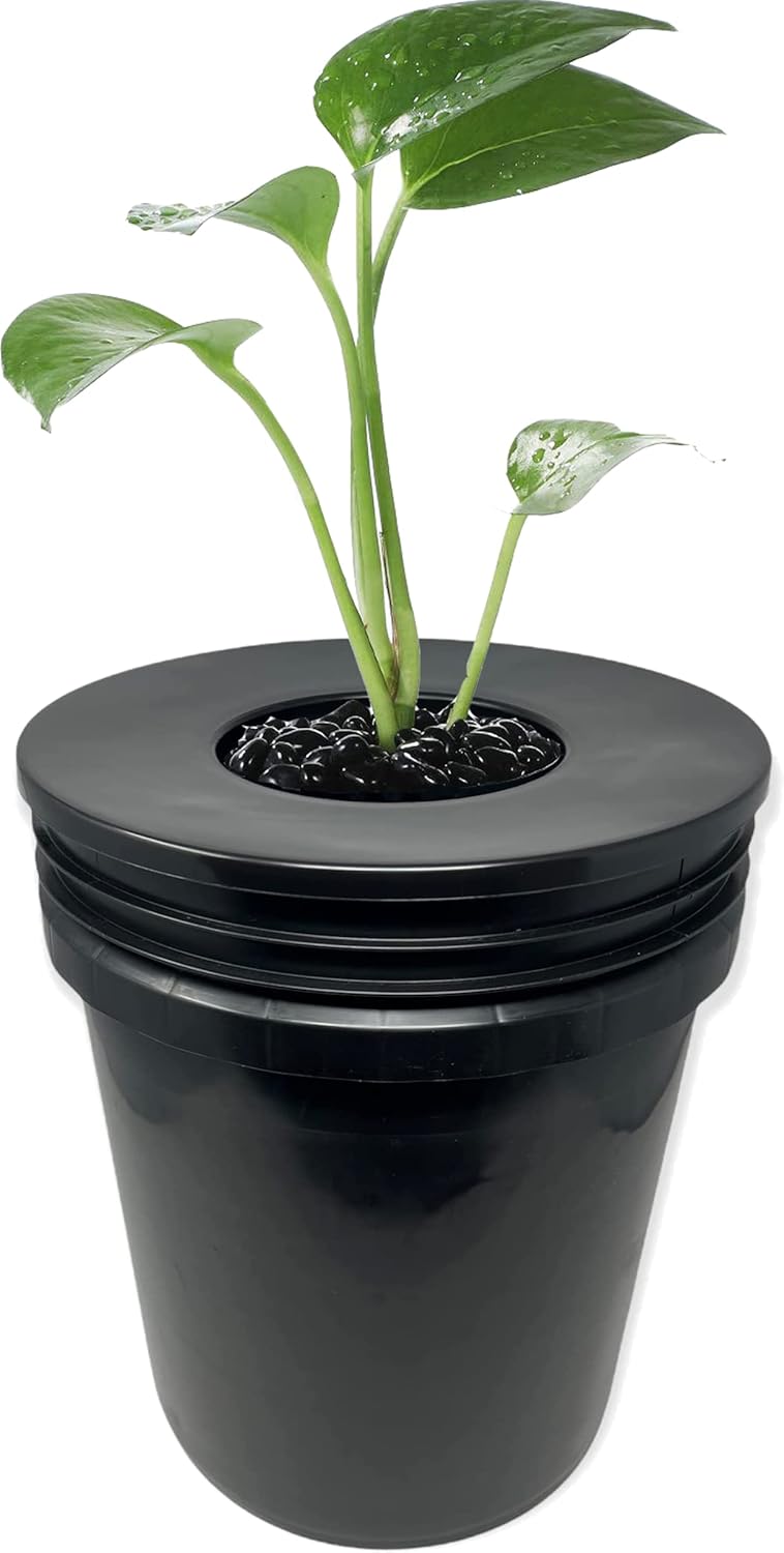 6 in. Wide Lip Bucket Basket (Pack of 6) 5 Gallon Bucket Lids for DWC