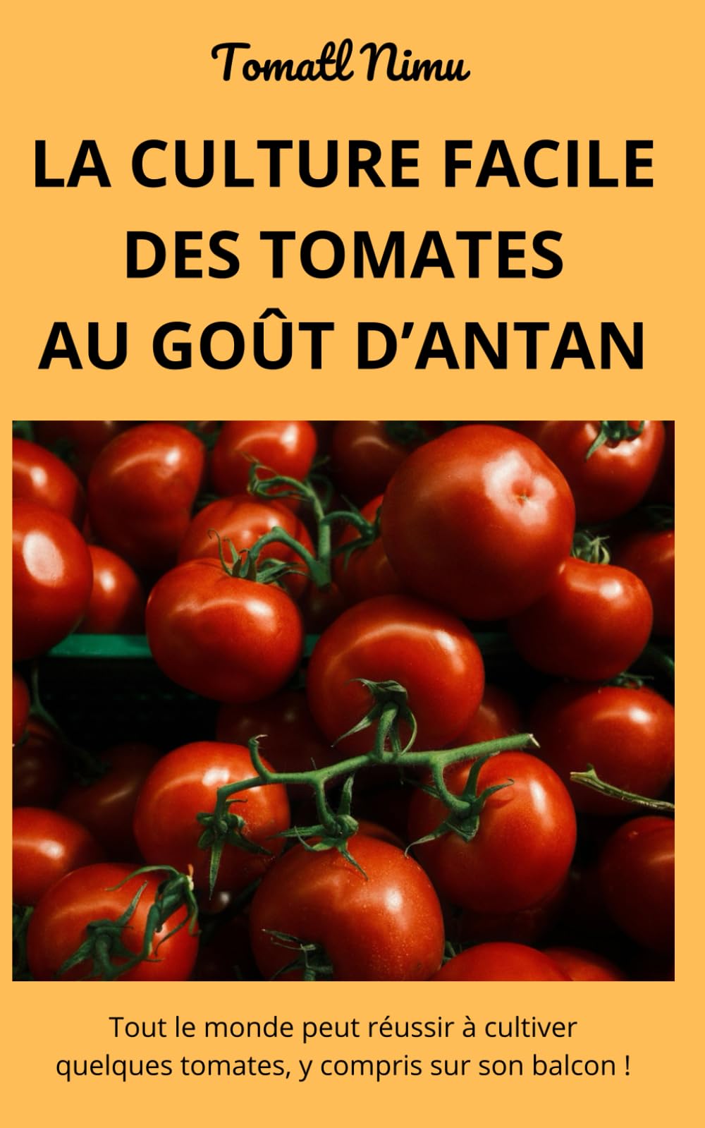 LA CULTURE FACILE DES TOMATES AU GOÛT D'ANTAN