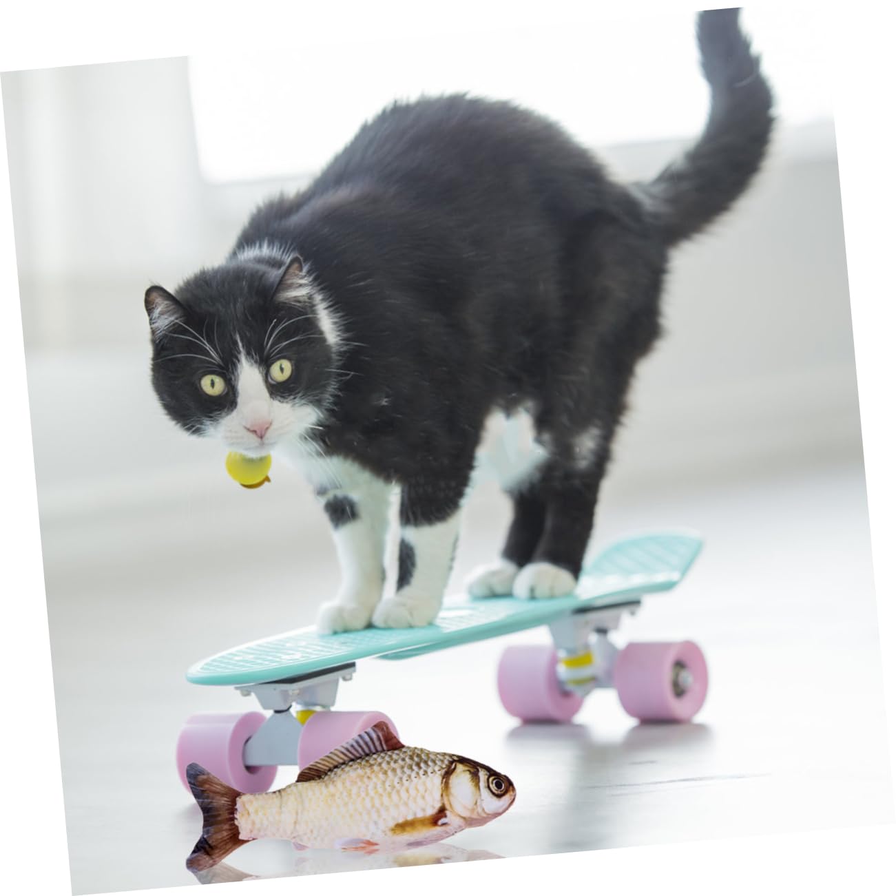 Yardwe 3St Katze springendes Fischspielzeug motorisiertes Katzenspielzeug Kätzchenspielzeug für Wohnungskatzen Plüschtier Spielzeuge Haustier-Teaser Katze Fisch Spielzeug Katzenminze Wels