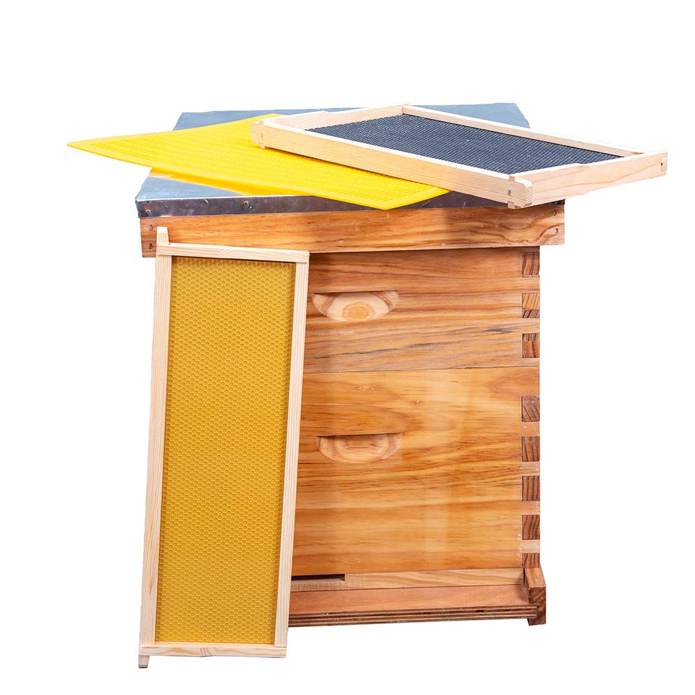 10 Frame Beehive Kit Heavy Waxed Bee Hive Premium New Zealand Pinewood