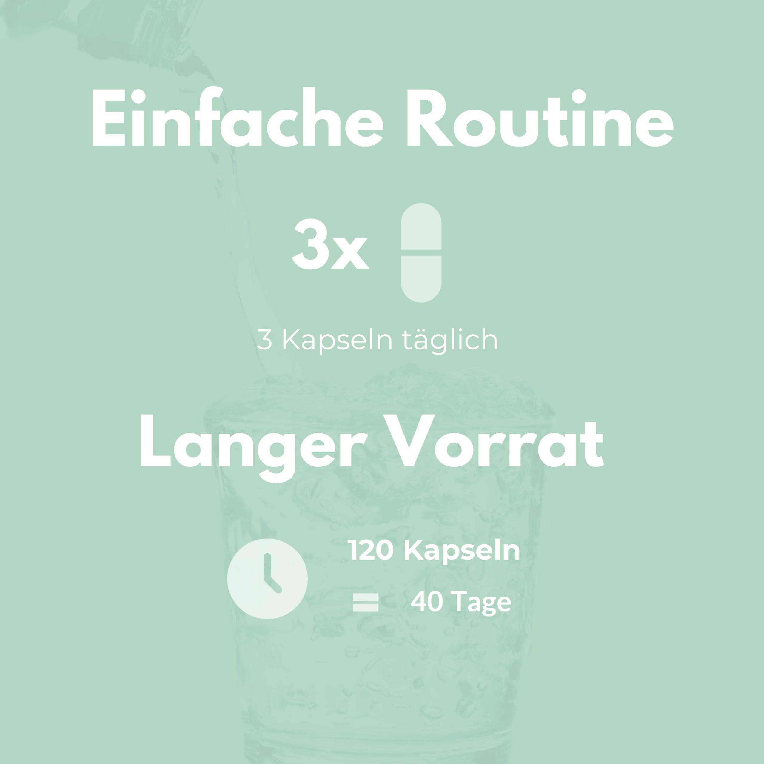 Vitalplant® Ackerschachtelhalm Extrakt 500mg im Braunglas - 120 Kapseln Hochdosiertes Schachtelhalm Extrakt (5:1) mit organischem Silizium - Vegan