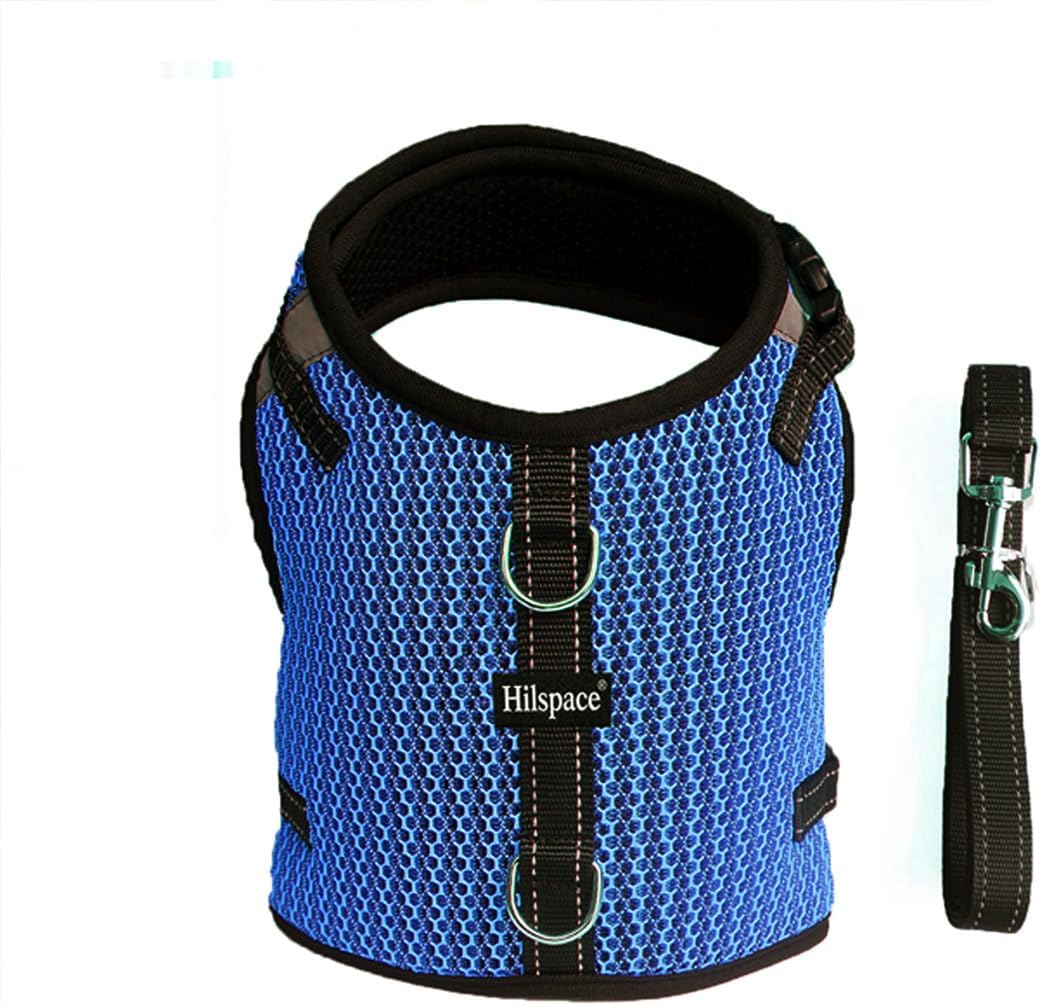 Mini Dachshund Harness Vest, No Pull & No Armpit Rub Dachshund Harness, Escape Proof Adjustable Dog Harness for Walking (XS: Chest 25-31cm (10"-12"),Fit Puppy&Rabbit Dachshund) image 5