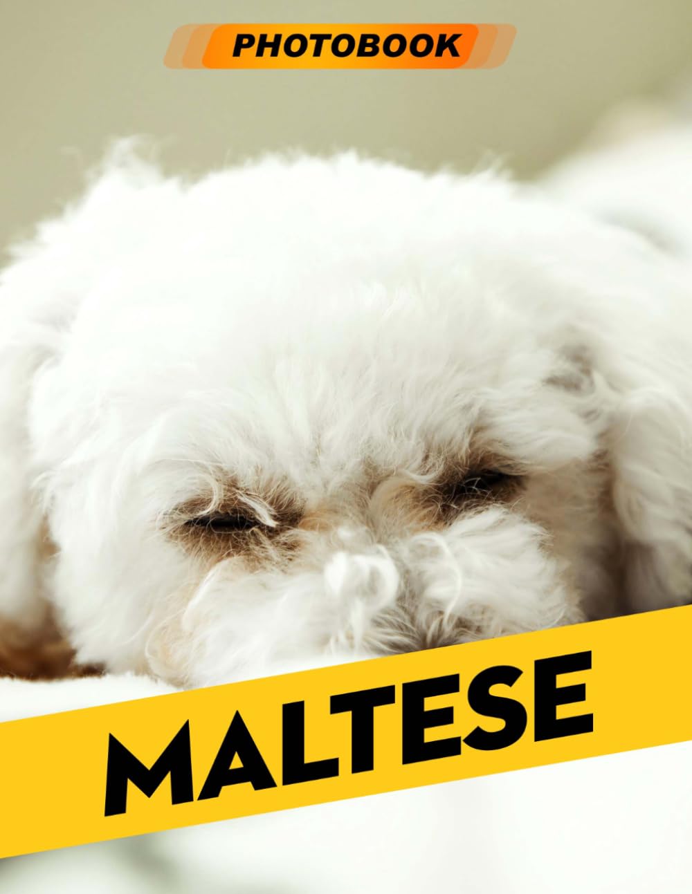 Maltese Photo Book: Charming Canine Photography Featuring Elegant Maltese Dogs In Beautiful Settings For Dog Lovers And Pet Enthusiasts