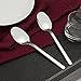 Fiazony Dinner Spoon, 12-Piece Stainless Steel Spoons, 7.79-INCH
