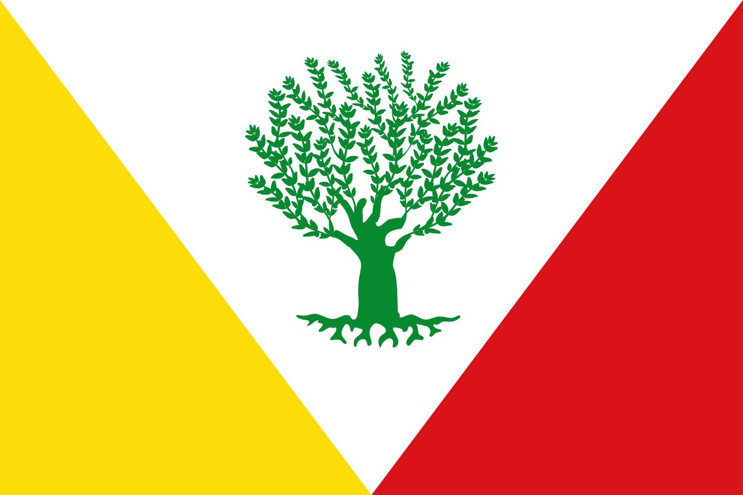 Drapeau Montejícar Spain grand format pour extérieur et intérieur