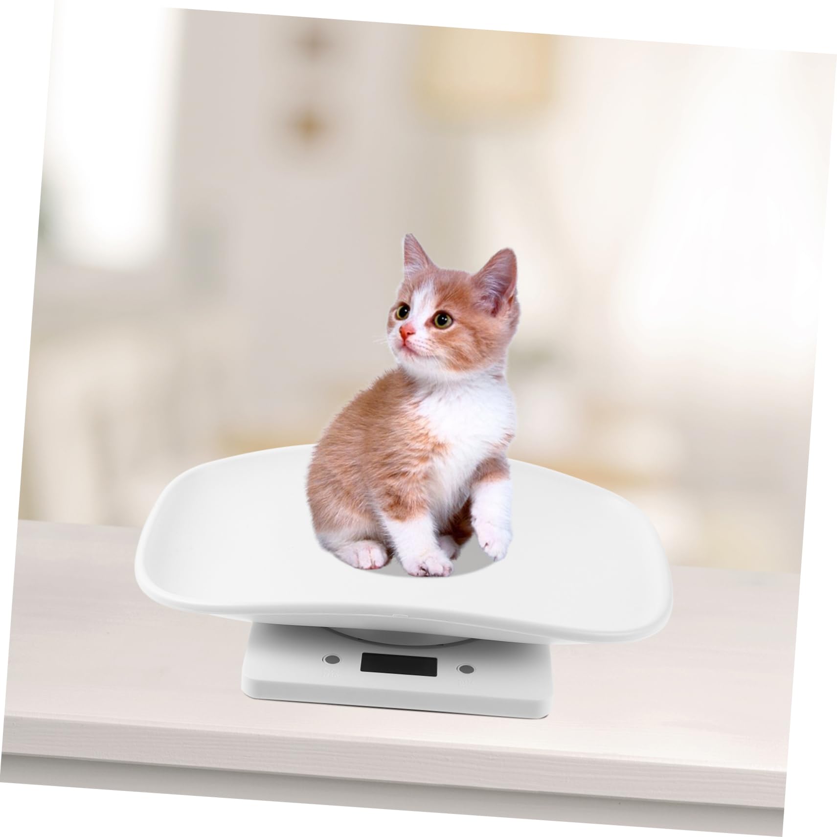 POPETPOP Bilancia Digitale Elettronica per Piccoli Animali Domestici Display LED Luminoso, Vassoio Plastica da 10 kg, Bilancia Elettronica Multiuso per Cuccioli e Gattini Uso Domestico e Veterinario