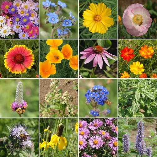Image of Ferry-Morse Honey Bee Bulk Wildflower Seeds, 440,000+, 1 lb