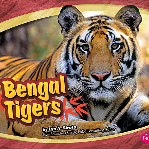 Bengal Tigers by Lyn A. Sirota episode artwork