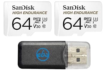Amazon.com: 2-Pack SanDisk High Endurance Video Monitoring