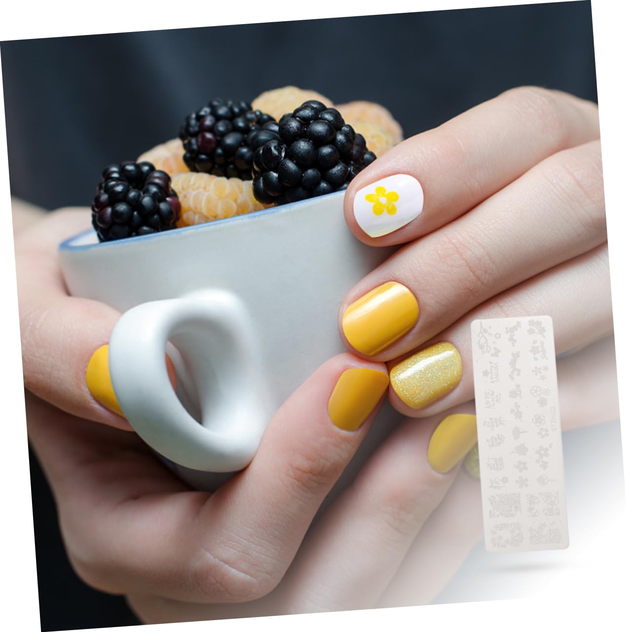 PACKOVE 3 Set Piastre Per Stamping Unghie Acciaio Inossidabile Con Vari Per Decorazioni Manicure Eleganti E Creative 6 Pezzi * 3