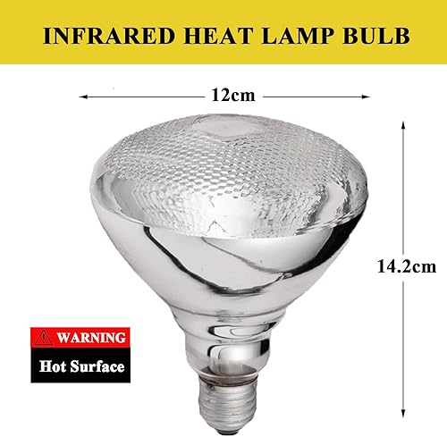 Miniatura 4 de KOUWO Lámpara de calor de alimentos de encimera Calentador infrarrojo de alimentos Lámparas de alimentos de cobre con bombilla de calefacción de 250