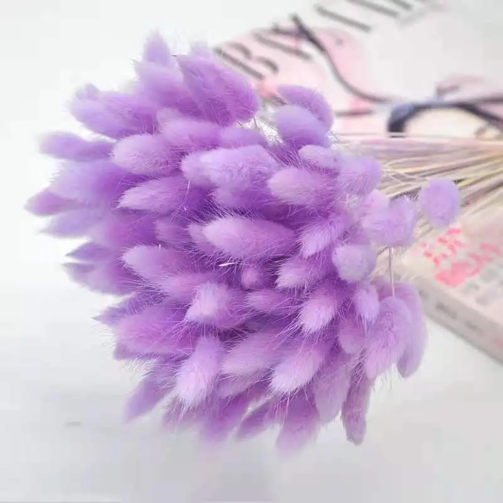 Flores secas de cola de conejo,120 piezas de 45 cm de hierba de pampa seca blanca, colas de conejo, flores secas para decoración de interiores, decoración bohemia de la boda del hogar, color morado