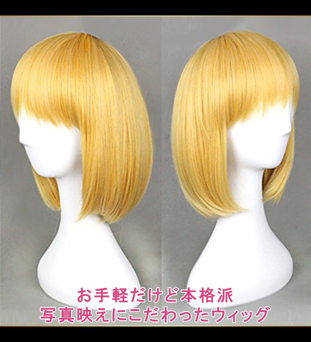 Amazon.co.jp: CaseEden コスプレ ウィッグ コスプレ用ウィッグ