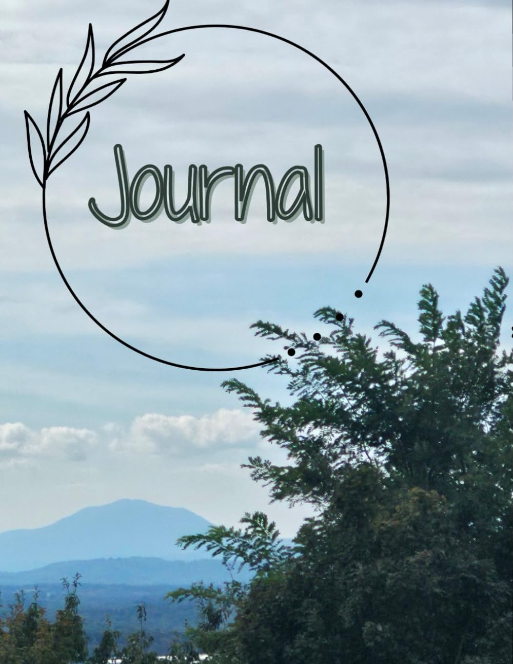 Mountain View Journal