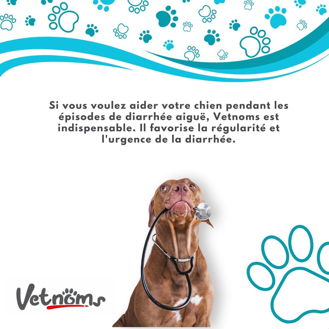 Poudre Anti Diarrhée Chien - Complement Alimentaire Chien 100% Naturel: Bentonite, Probiotiques Chien. Fibres et Minéraux pour Aider à Réduire la Diarrhée Chien.
