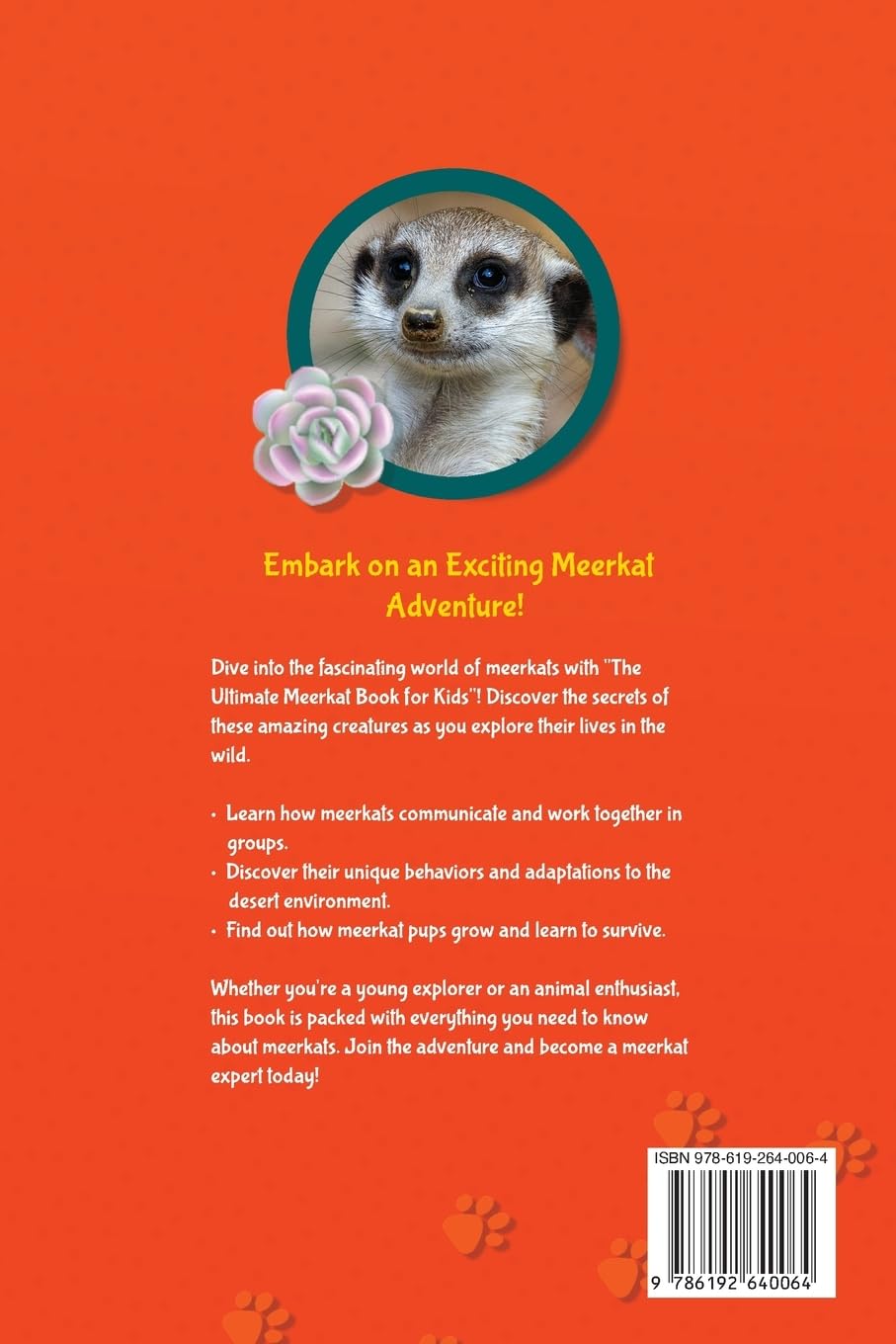 Meerkats The Ultimate Meerkat Book for Kids: 100+ Amazing Meerkat Facts, Photos, Quiz & More: 16