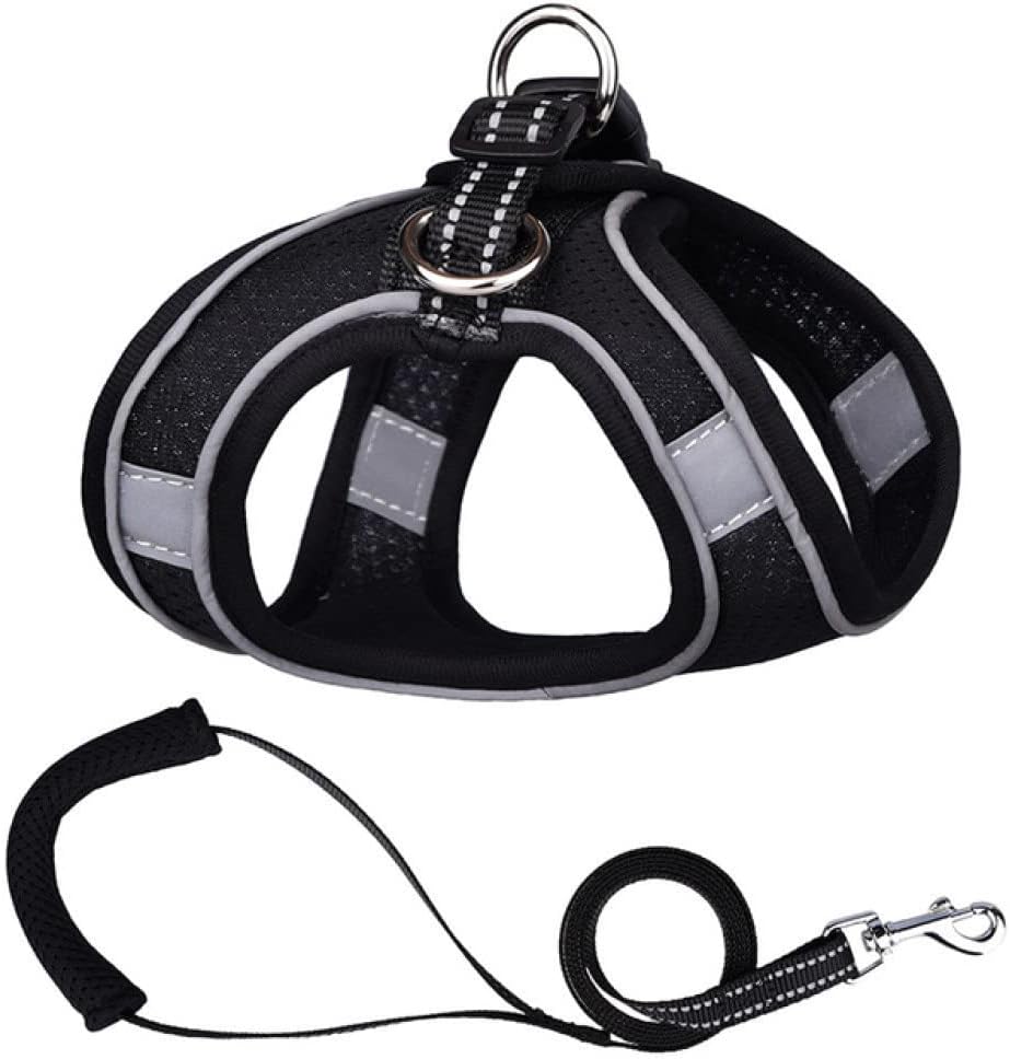 ポストペット POSTPET ビーチボール 70cm 未開封 ポストペット PostPet