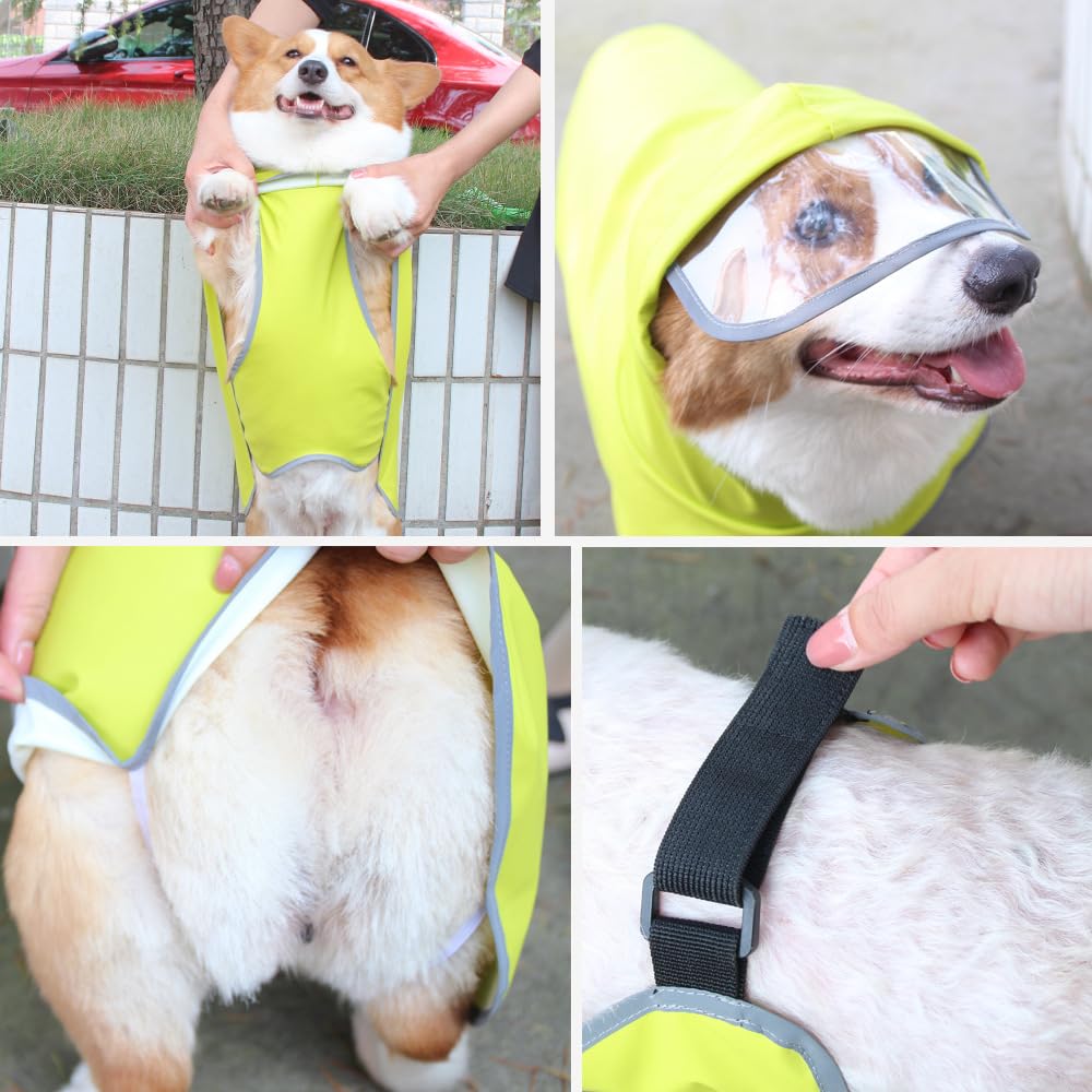 Hunderegenmantel, Verstellbarer, Transparenter Hunde-Regenmantel Mit Kapuze, Glatter Regenumhang, Leichte Welpen-Regenausrüstung, Outdoor-Kleidung Mit Leine