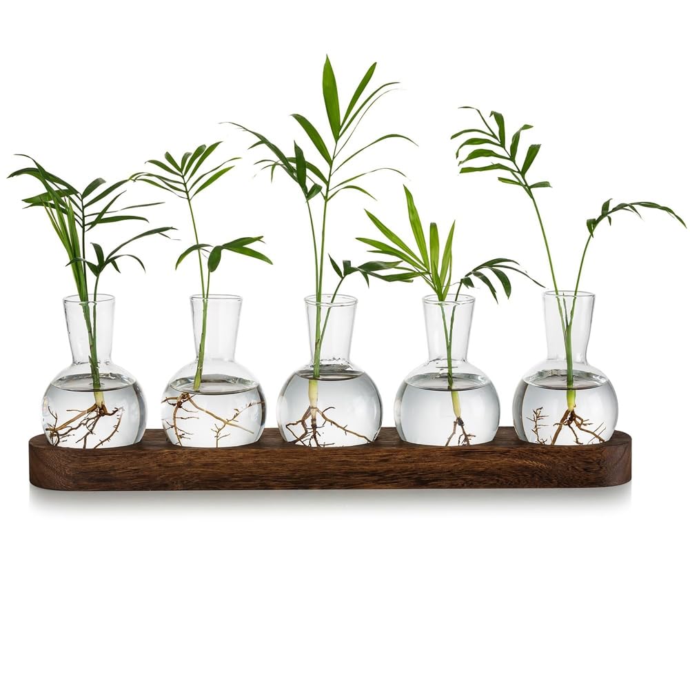 hoaker Plant Terrarium Propagation Station, Glass Planter Bulb Vase with Wooden Tray, Modern Bud Vases for Living Room Office
