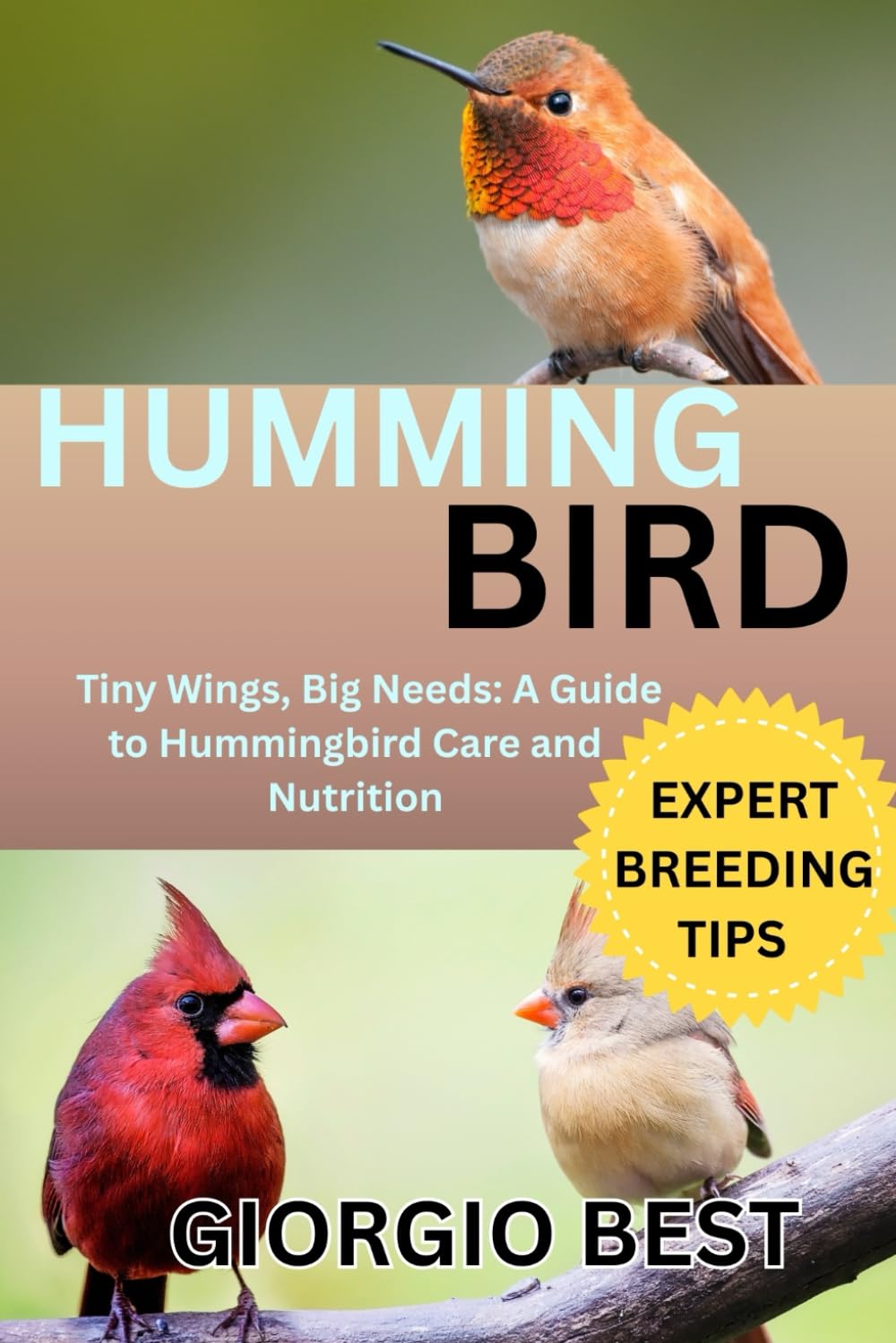 HUMMINGBIRD: Tiny Wings, Big needs – A Guide to Hummingbird Care and Nutrition