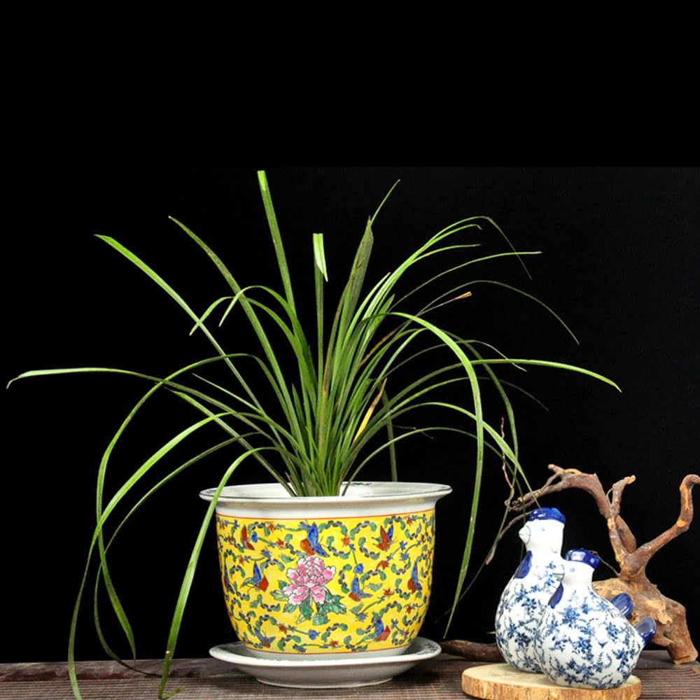 DFGHNBVC Jingdezhen Ceramics Flower Pot Chinoiserie Plant Pot Porcelain Indoor/Outdoor Flower Pot Pattern Pastel Porcelain Large Round Succulent Plant Garden Pot With Tray,D-20 * 14cm