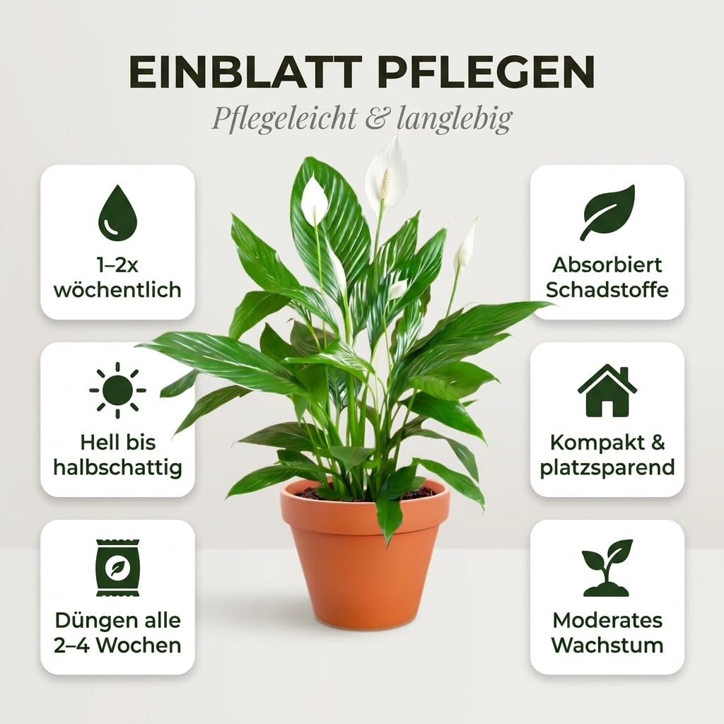 adventskalender saatgut balkon Saatgut Adventskalender Balkon  Chrissi von Gartenkeimling