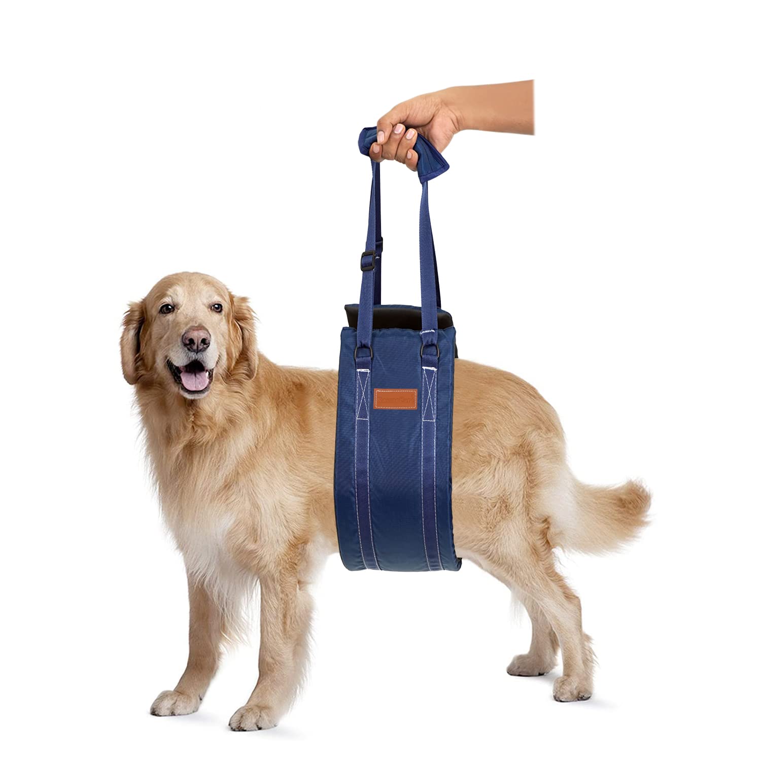 KosmoCare Dog Sling Support and Rehab Harness for Weak Rear Legs | Dog Hip Support Harness | Adjustable Straps Support for Elderly, Injured and Disabled Dogs - Large (B0BNNSC173) Amazon Price History, Amazon Price Tracker